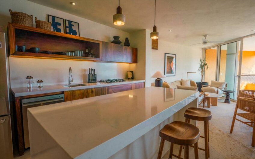 Desarrollo Carpinteros Zihuatanejo