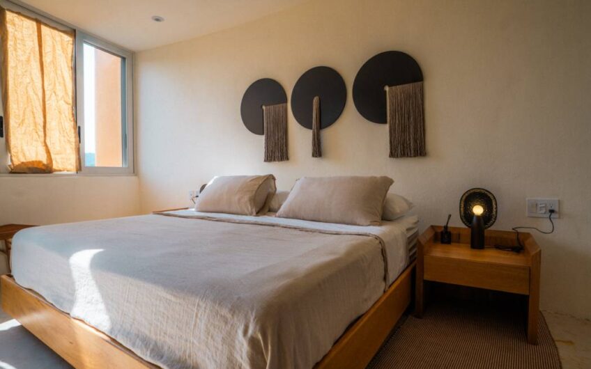 Desarrollo Carpinteros Zihuatanejo