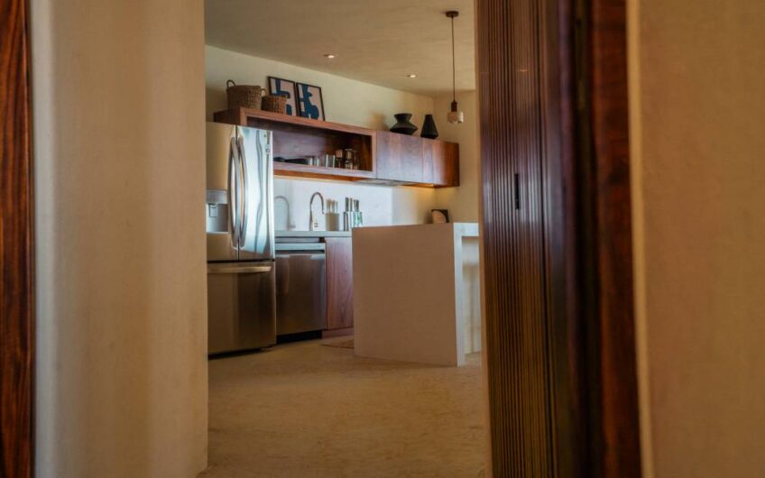 Desarrollo Carpinteros Zihuatanejo