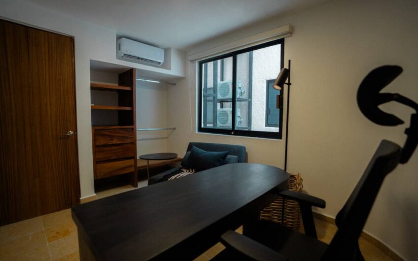 Desarrollo Palmas Zihuatanejo