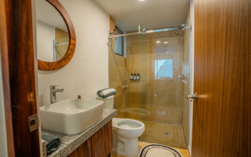 Desarrollo Palmas Zihuatanejo