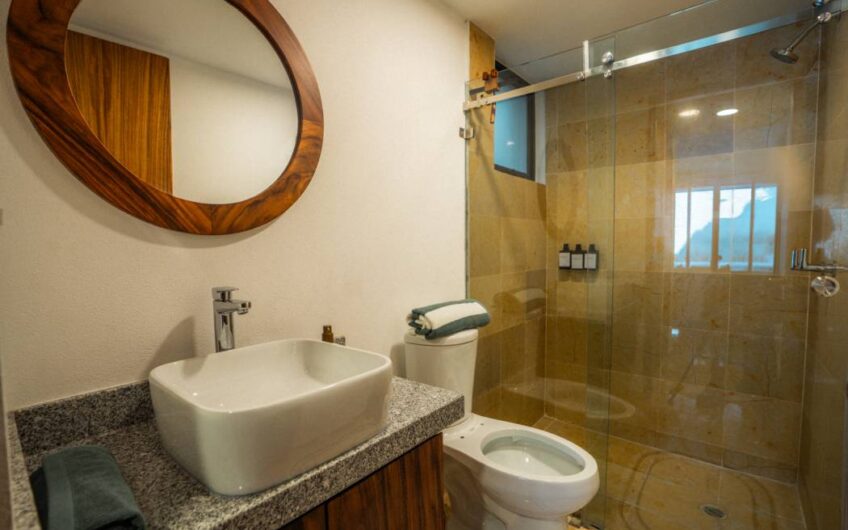 Desarrollo Palmas Zihuatanejo