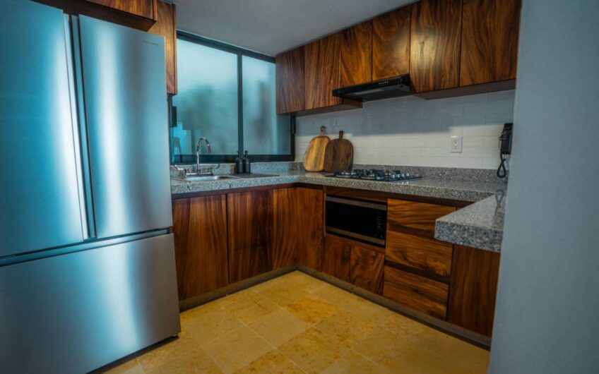 Desarrollo Palmas Zihuatanejo